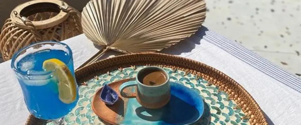 Salvia Butik Sogut