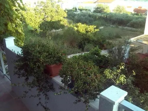 Apartments Mima