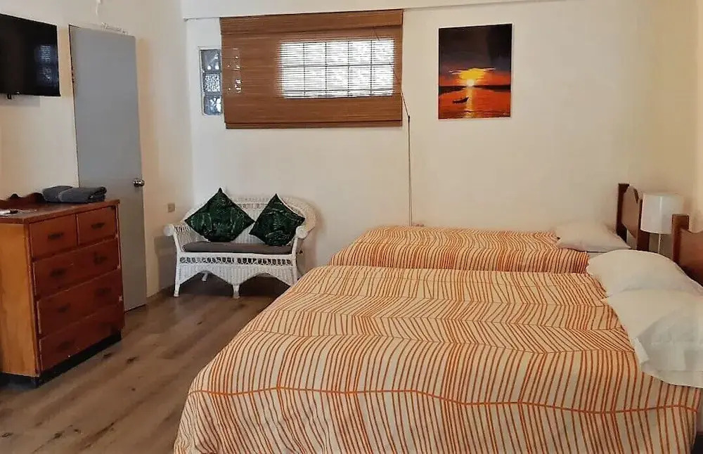 Bananaquit Tobago -Stay Near the Beach