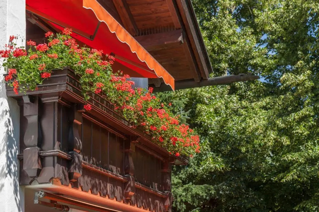 Hotel Alpina