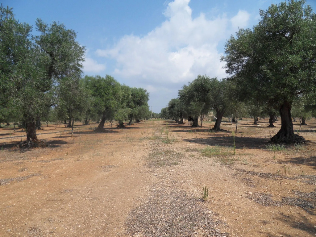 Dimore del Roseto
