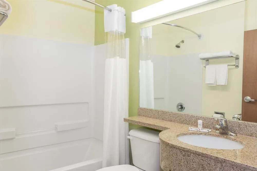 Microtel Inn & Suites by Wyndham Lehigh