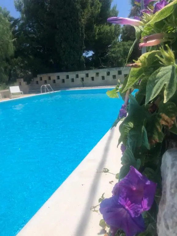 Agriturismo Masseria Alcorico