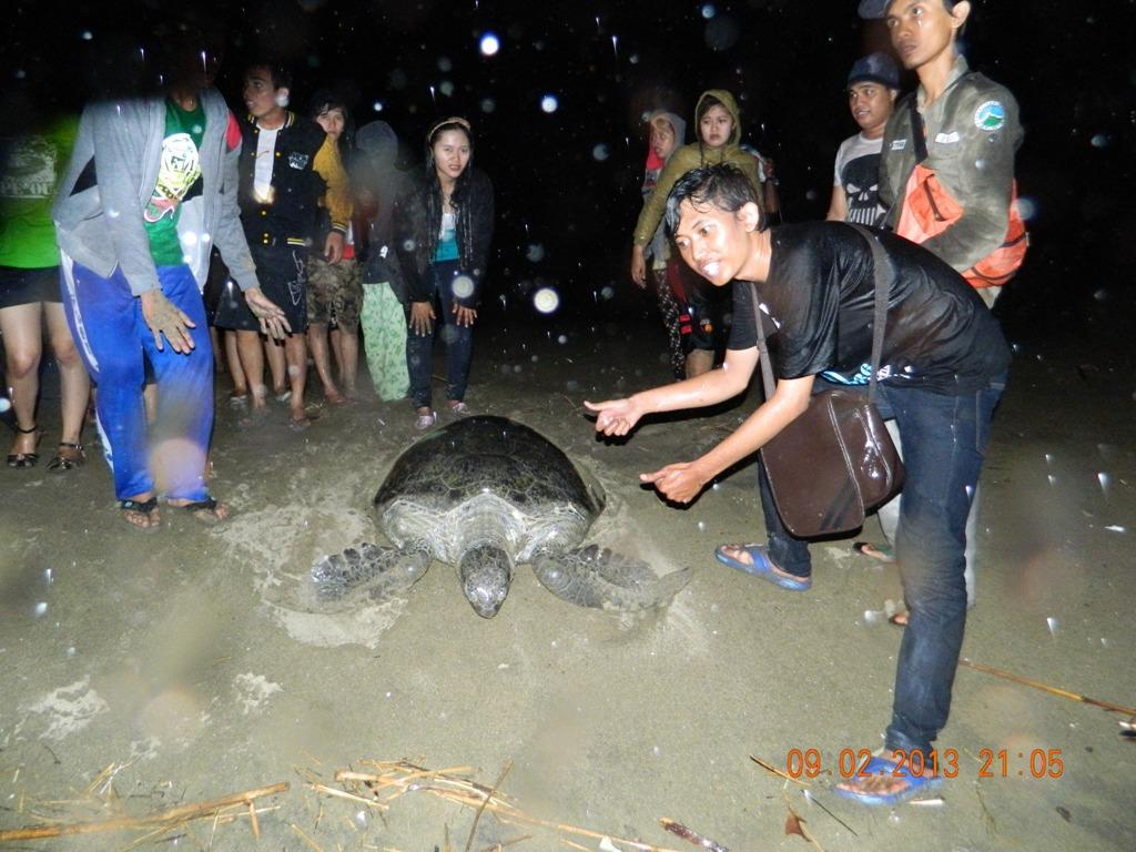 Kampoeng Pakis Inn