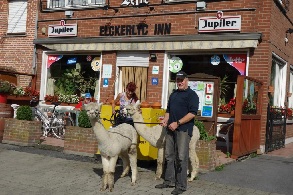 Elckerlyck Inn Hotel