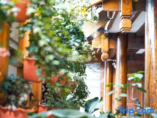 Qingwa Shiguang · Jinshan Yingxue | Gucheng Panoramic Starry Sky Boutique Stay