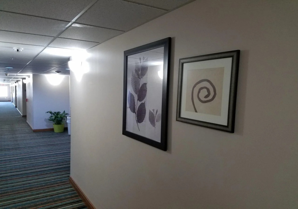 Country Inn & Suites by Radisson, Jacksonville - Orange Park