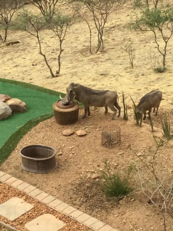 Windhoek Rural Self Catering