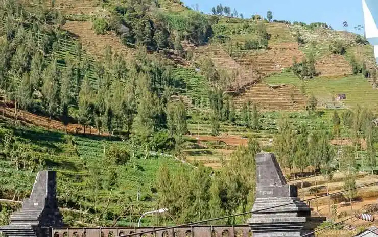 King Dieng Hotel