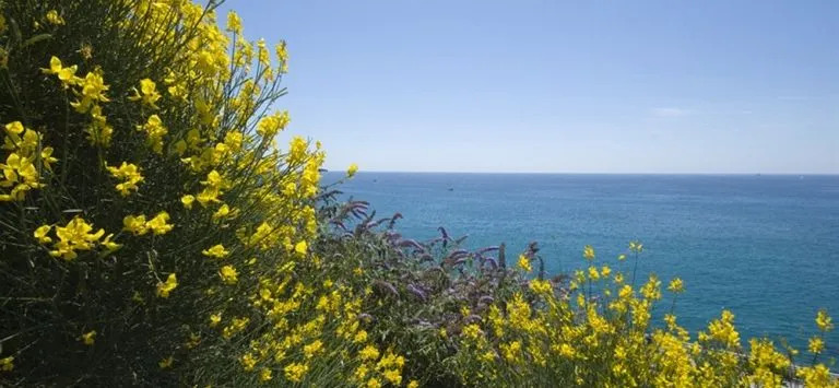 Affitti Brevi Liguria - La Fiorita