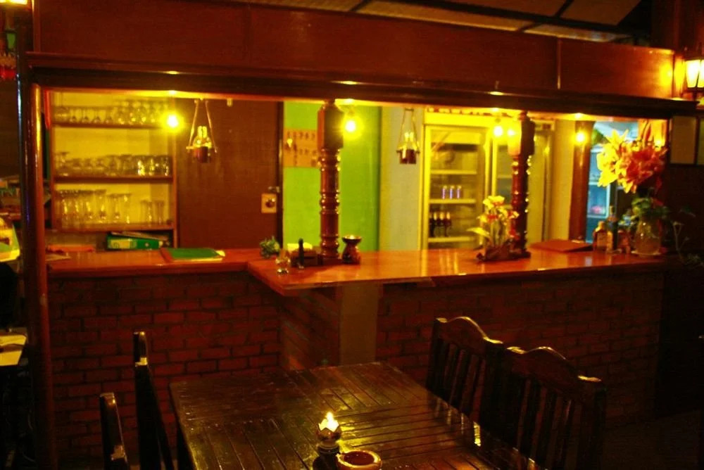 The Green Oasis