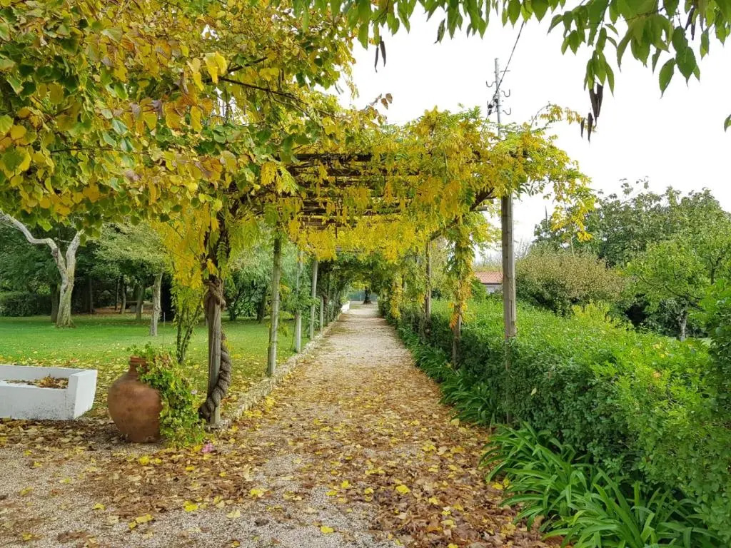 Casa Da Avo Genoveva