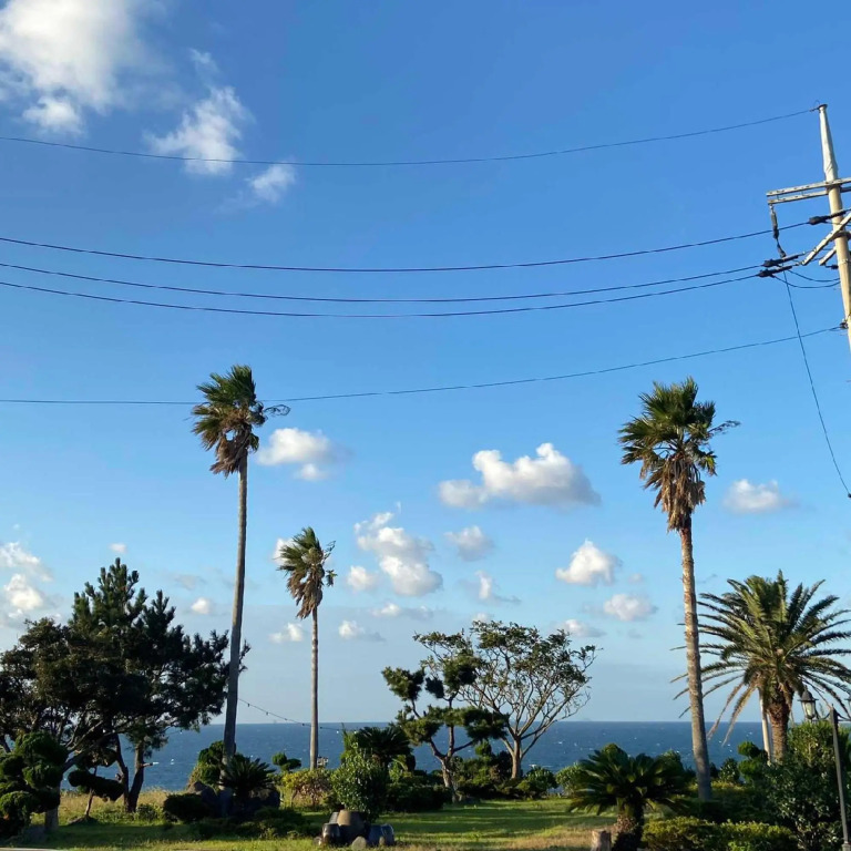 The Sea of Jeju Dream
