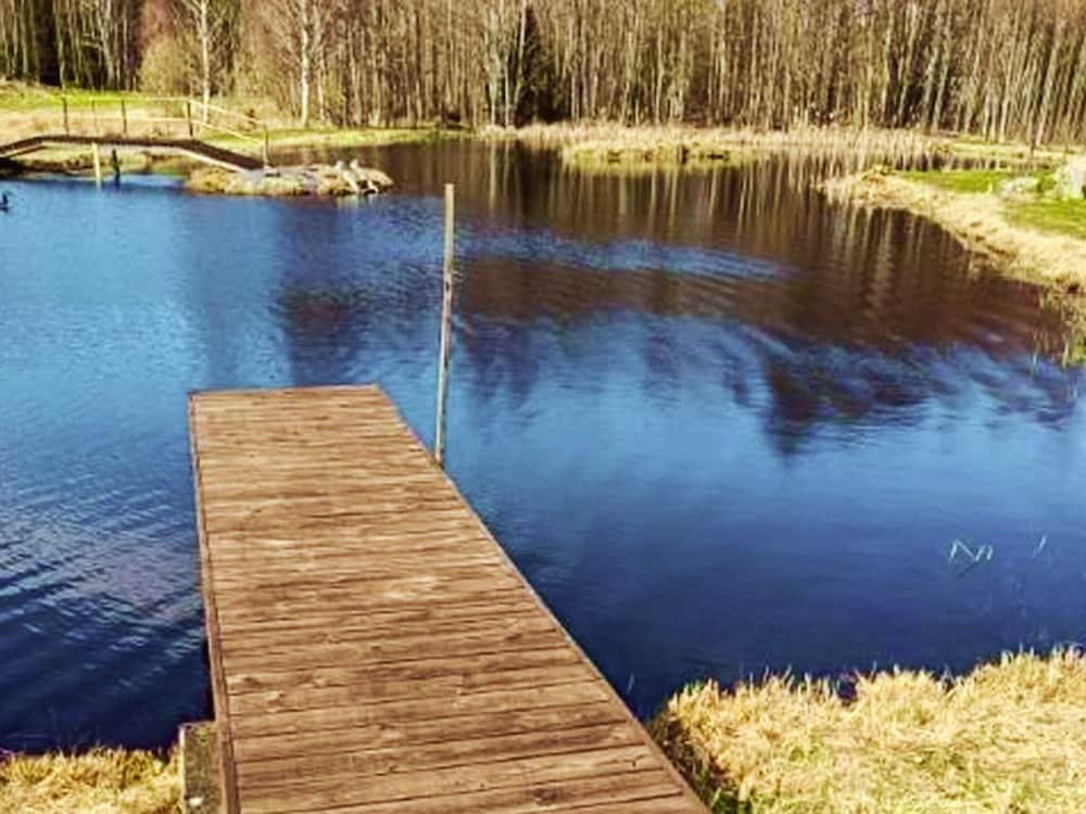 8 Person Holiday Home in Hogsby