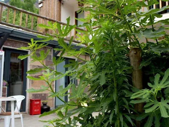 Lulu's Homestay (Shibanyan Town)