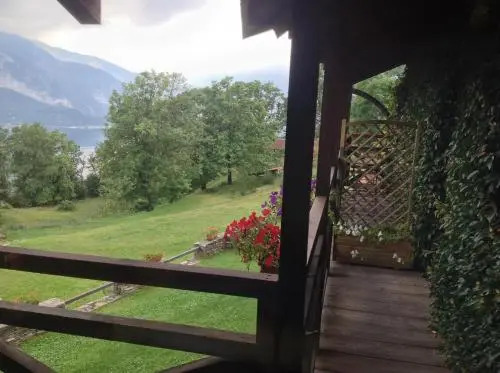 Il Ciliegio Selvatico