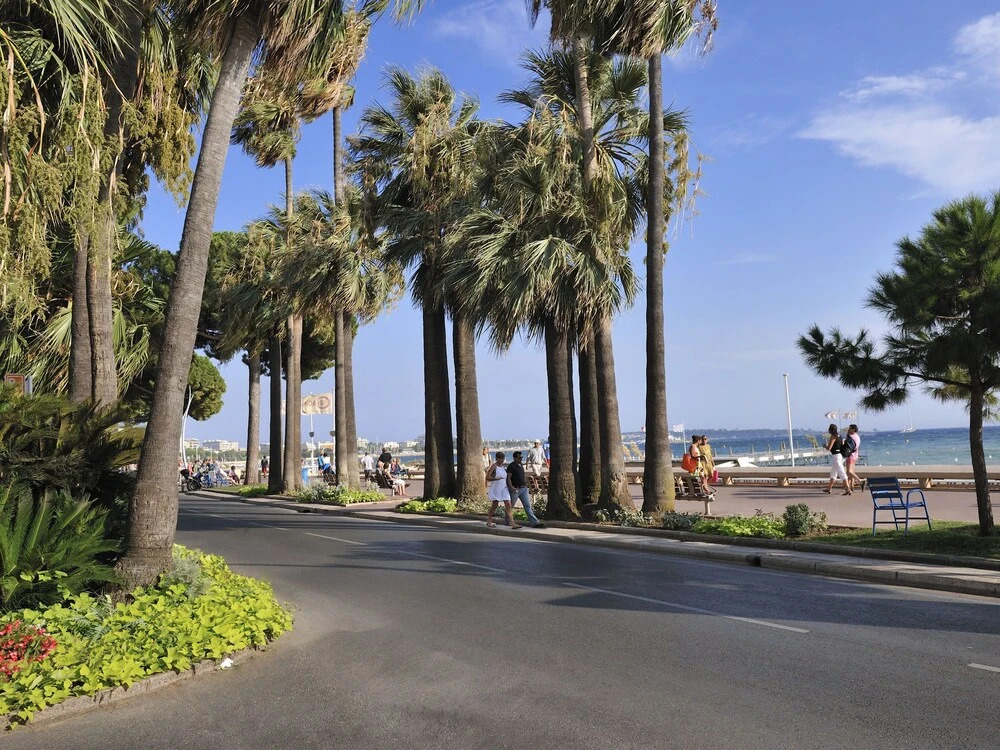 Nice Studio in the Heart of Cannes 200 m Away From the Beach