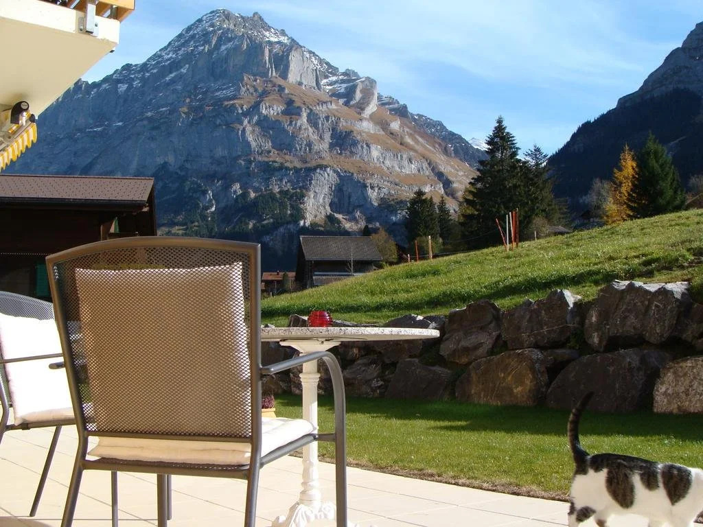 Chalet Hinkelstein