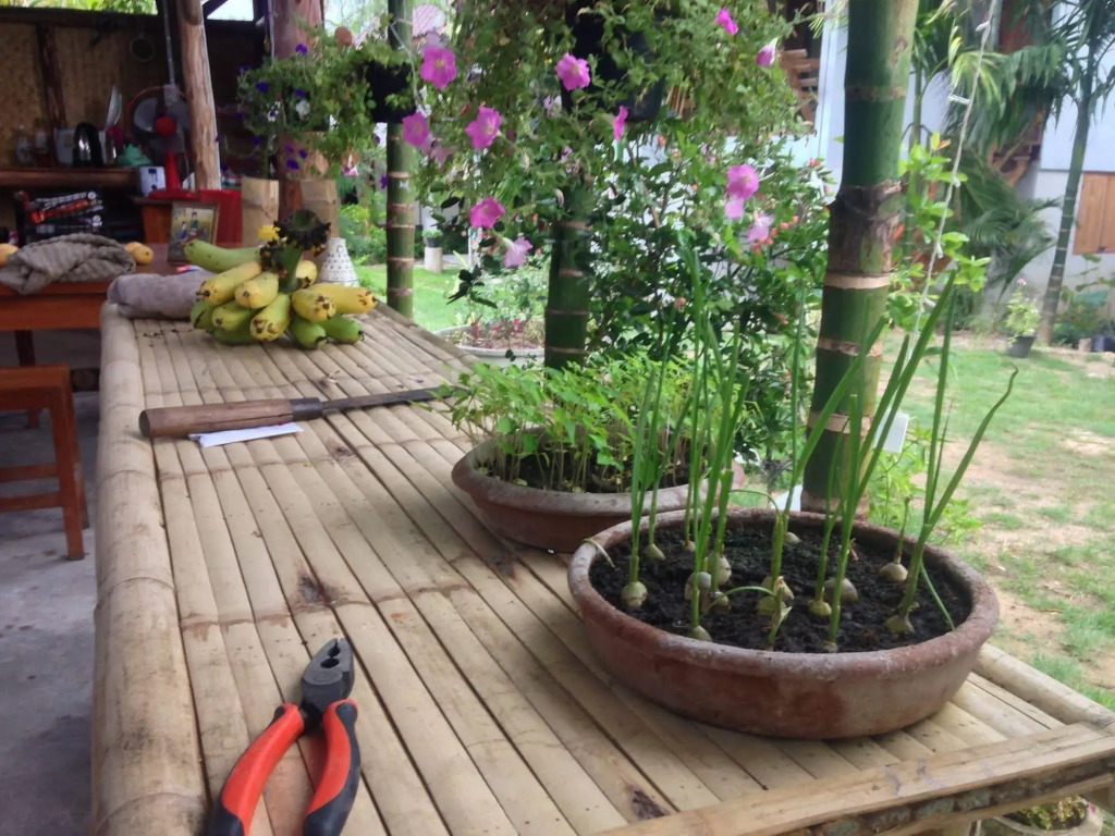 Ming Guesthouse