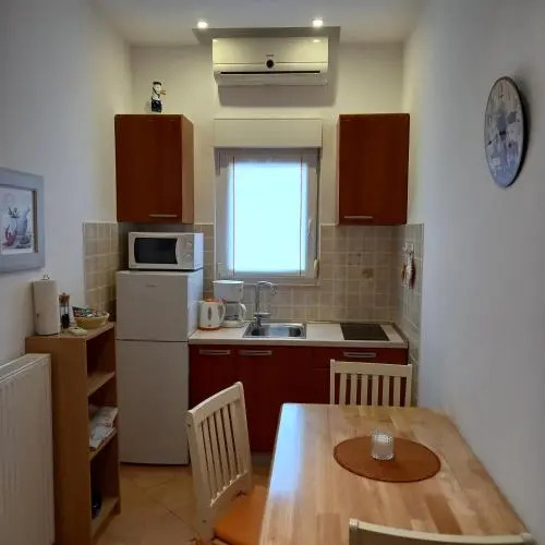 Apartments Irena with sea view