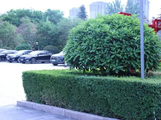 Zhongzhou International Hotel
