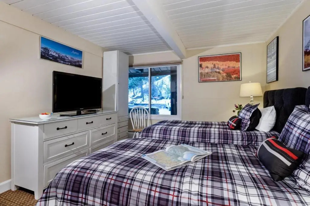 Aspen Alps Apartment #204