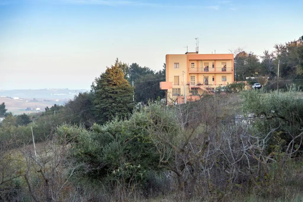 Il Ciliegio