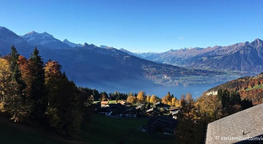 Swiss Lakeview Apartment