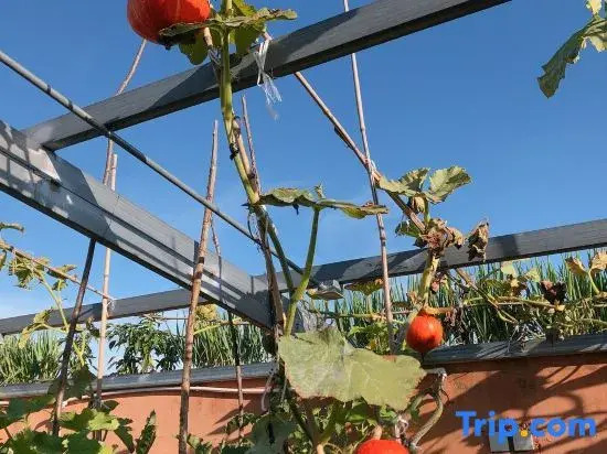 Beijing Guya Residential House Farm Stay