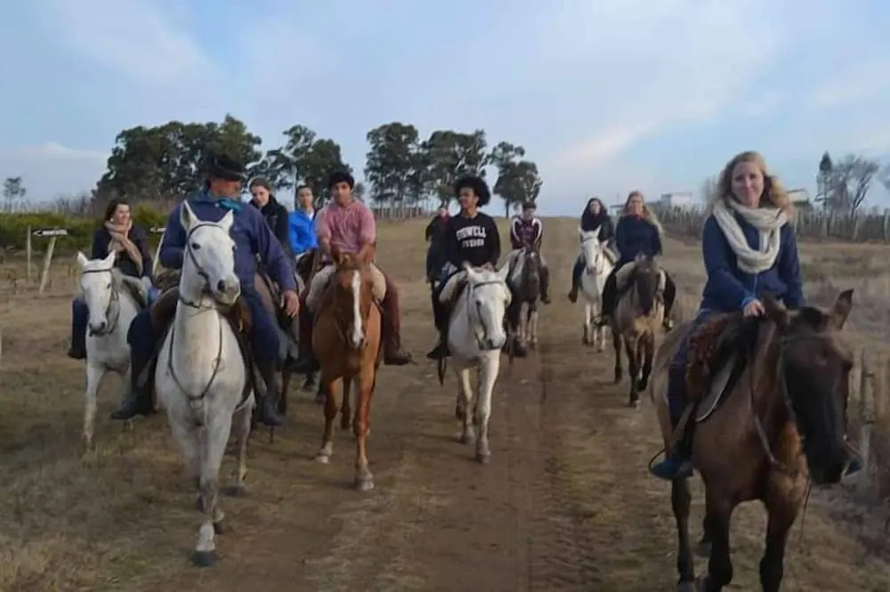 Finca Piedra
