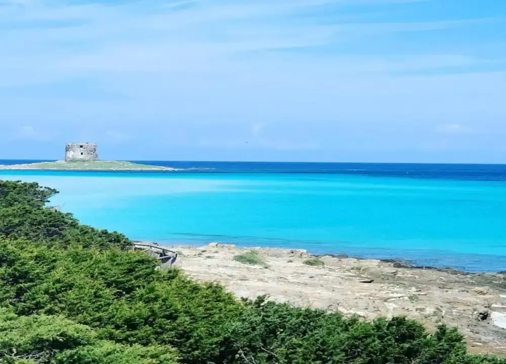 Holiday Home Stintino With Stunning Sea View