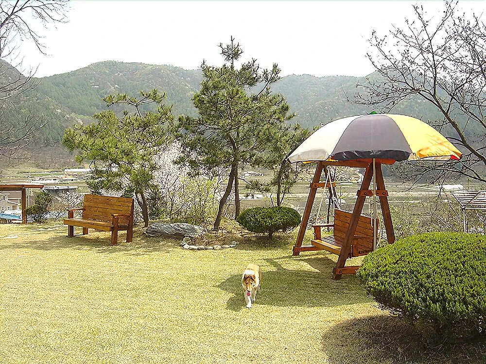 Yangpyeong Iris Pension