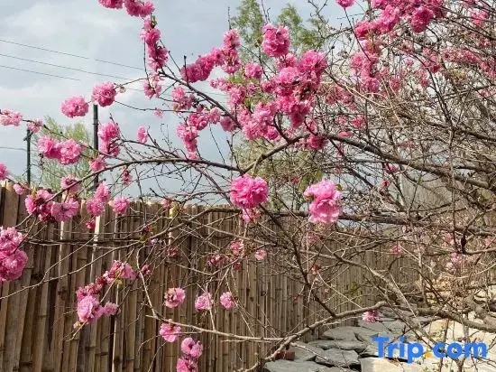 Shanchacyu Guesthouse