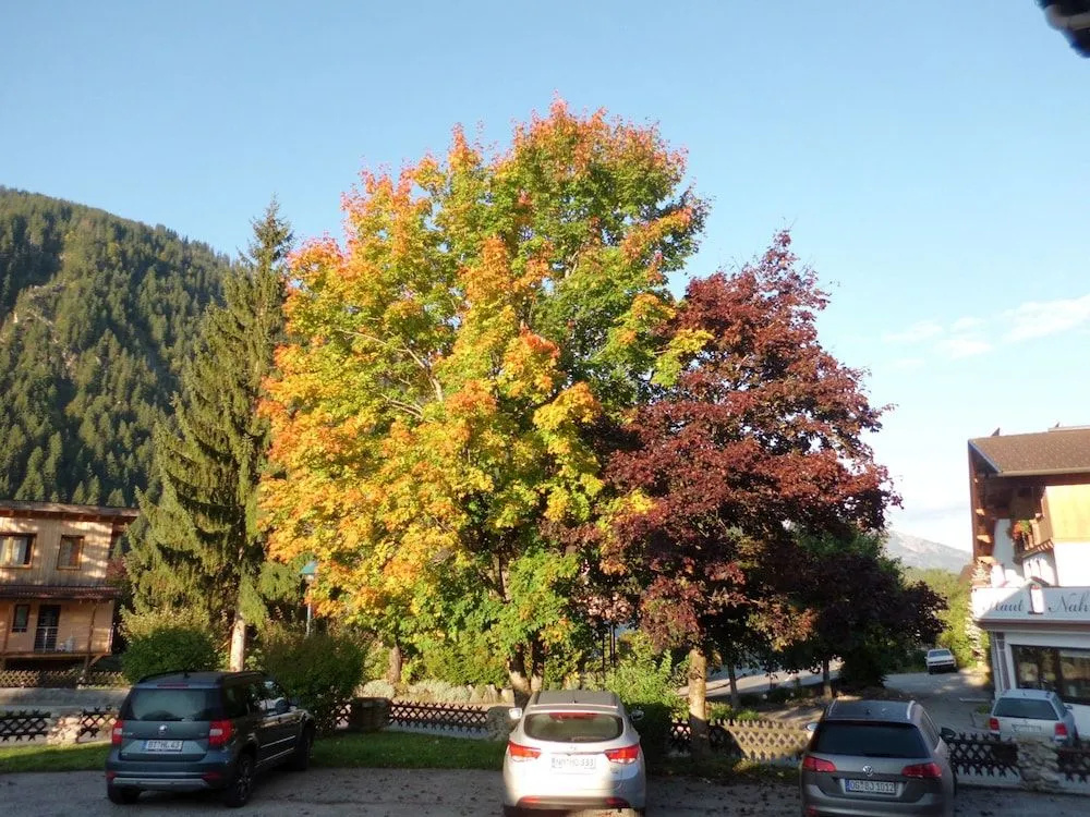 Alpina Appartements