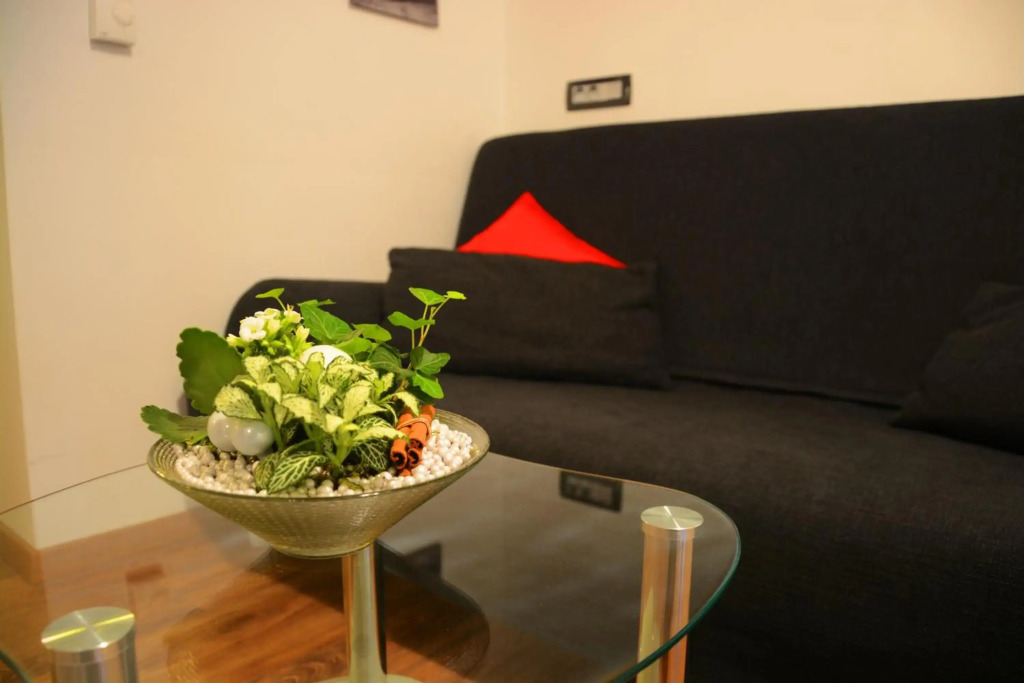 Apartment Arpa