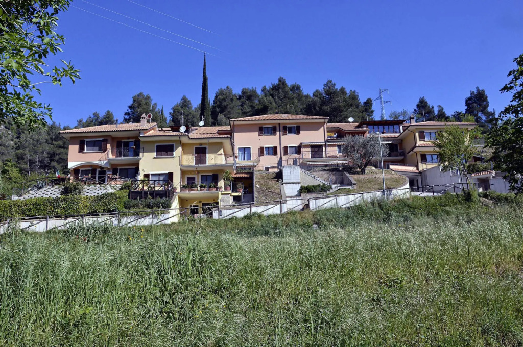 B&B Girasoli