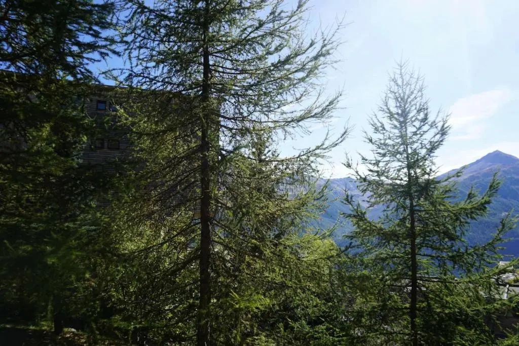 Résidence Rond Point I - Studio pour 4 Personnes 04