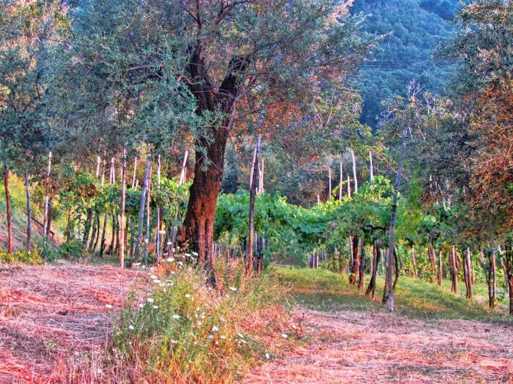 Studio in Gragnano, With Wifi - 4 km From the Beach