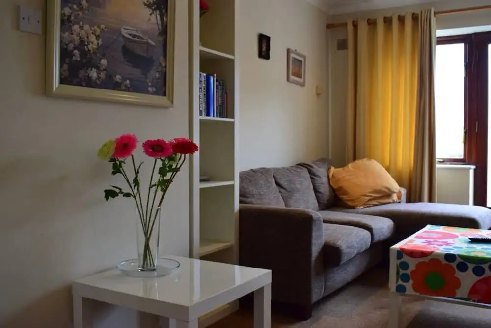 1 Bedroom Apartment Near Guinness Storehouse