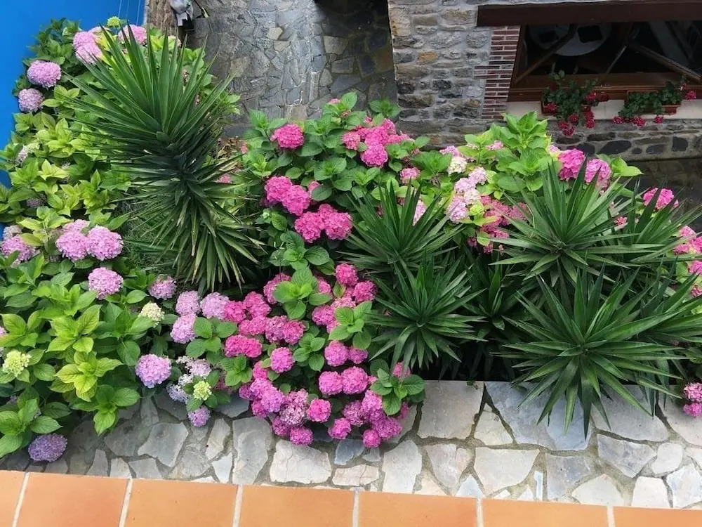 Apartamentos El Ardinal
