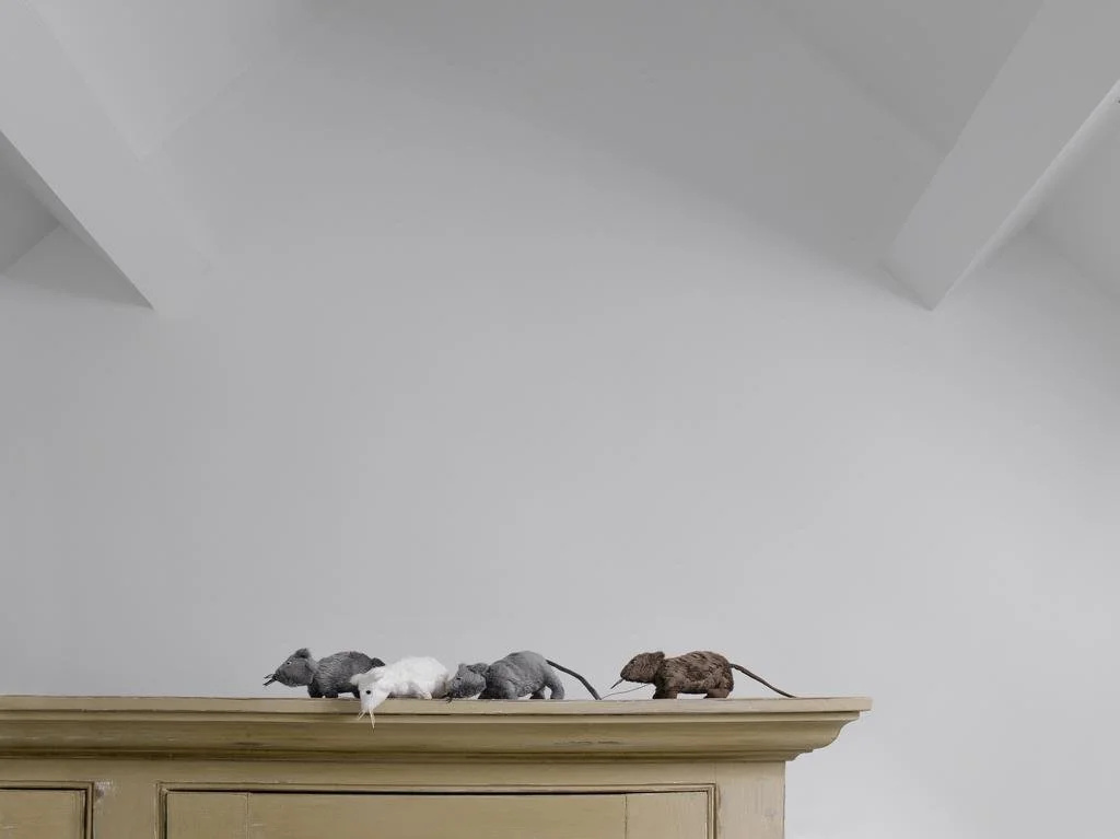 Sabine Van Paemel's Mousehouse