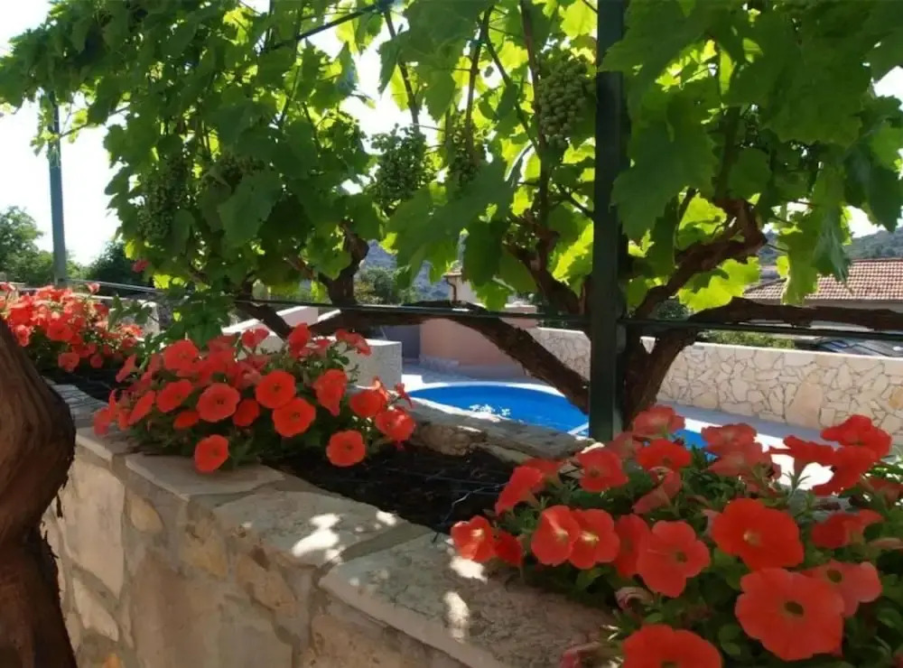 Holiday House Neda