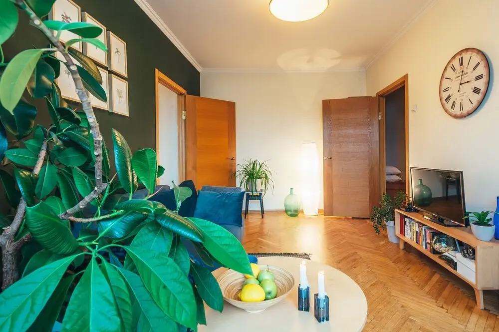 MalinaApt Botanical apartment