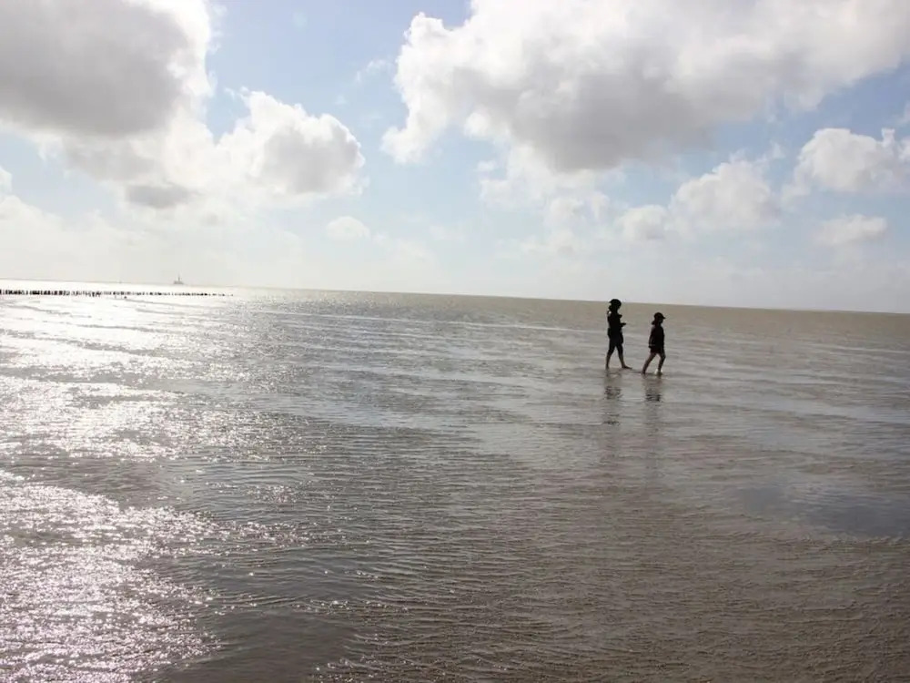 Gowatt North Sea
