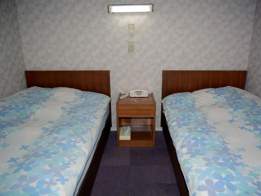 Hotel Cotton 100%