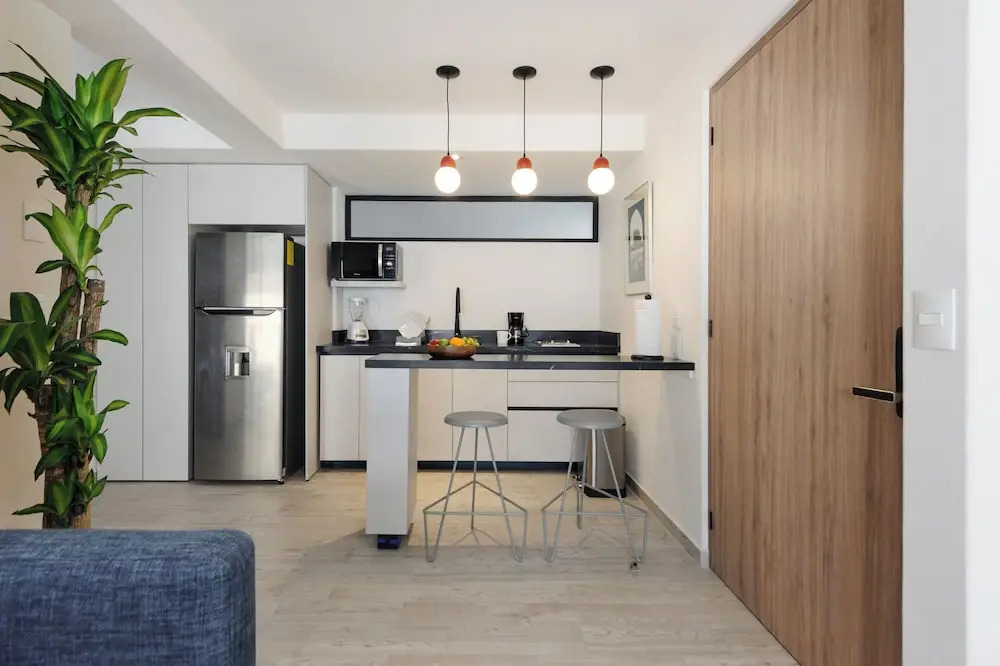 Choapan 28 - Lux Apartments in Condesa