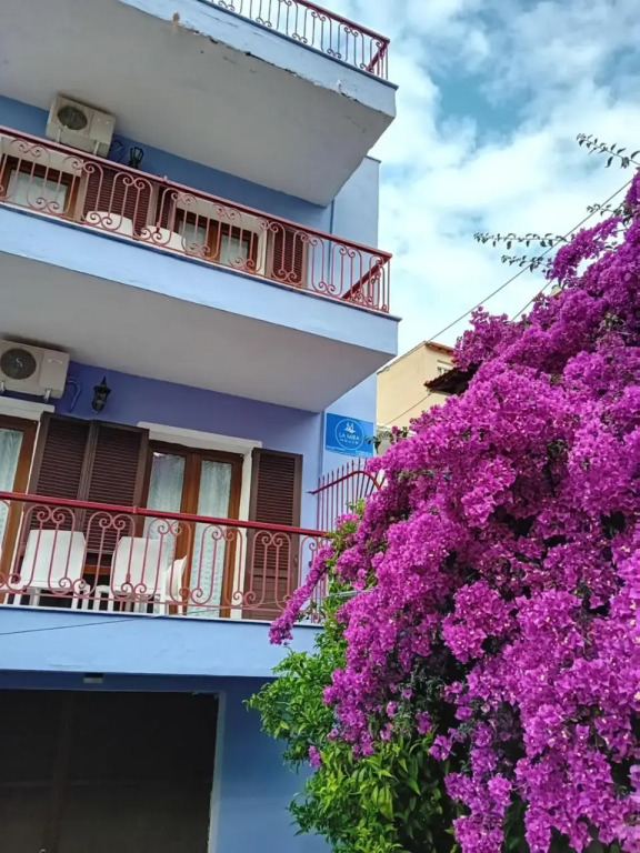 Selini House
