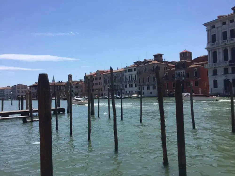 Venice Apartments