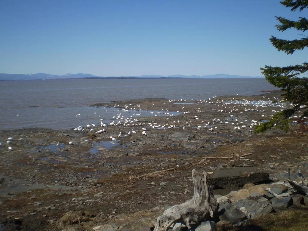 Le Repos De L'Inukshuk