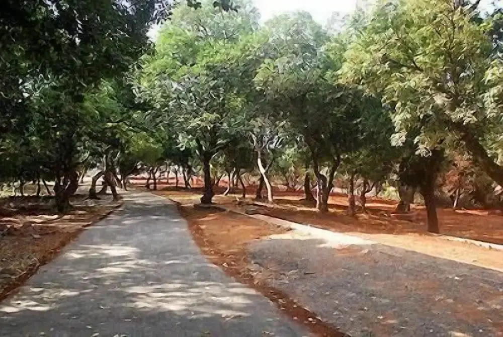 Krishna Continental